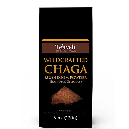 Premium Chaga Mushroom Powder  Ethically Wildcrafted Powerful Alternative or Companion to Coffee & Tea- for Chaga Tea & Smoothies - Supports Healthy Immune System & Energy Boost- Not Extract  170g